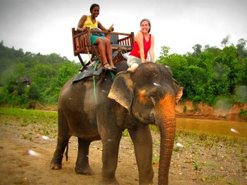Elephant Village and Mahout Experience Day Tour